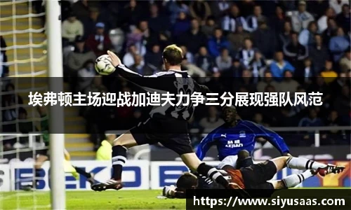 埃弗顿主场迎战加迪夫力争三分展现强队风范