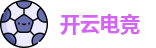 开云电竞